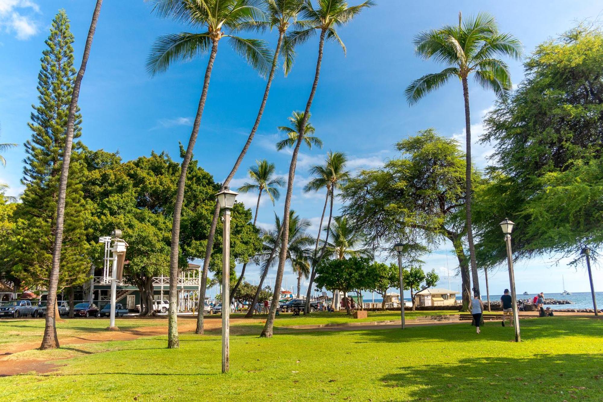 Paki Maui 222 Apartment Napili-Honokowai Стая снимка